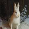 DSCN6820.JPG