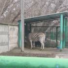 DSCN4969.JPG