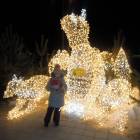 DSCN6739.JPG
