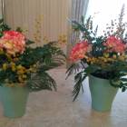 IMG_20180310_172132
