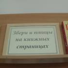 DSC08097.JPG