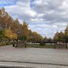 IMG_5380.JPG
