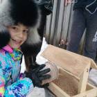 Кормушка для пернатых друзей120589