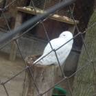 DSCN4971.JPG