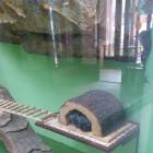 IMG_20160828_083341