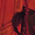 DSCN4825.JPG