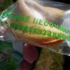 DSCN1570.JPG