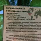 Казанский зооботсад92808