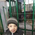 Зооботанический сад 26.11.2017 г. Казань.107338