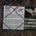 DSCN4975.JPG