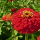 DSCN1535.JPG