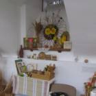 IMG_2668.JPG