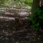DSCN1653.JPG