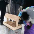 Кормушка для пернатых друзей120592