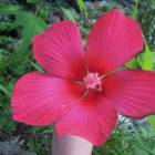 DSCN0058.JPG