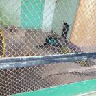 DSC05917.JPG