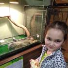 IMG_20181101_174607