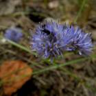 DSCN0595.JPG