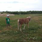 IMG_20180707_112555