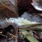 DSCN5042.JPG