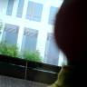 IMG_20160524_112307