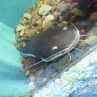 DSCN9924.JPG