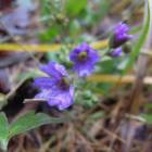 DSCN5035.JPG