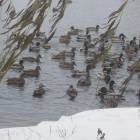 DSCN5274.JPG