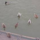 DSCN5378.JPG