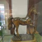 DSCN6816.JPG
