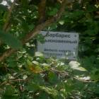 DSCN1612.JPG