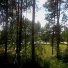 DSCN0388.JPG