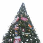 DSCN7017.JPG