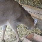 DSCN4905.JPG