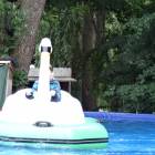 DSC06033.JPG