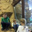 IMG_20171112_192133