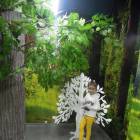 DSCN1584.JPG