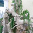 IMG_20171126_115250