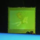 DSCN2534.JPG