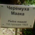 DSCN1628.JPG