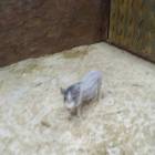 IMG_20171102_160116