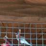 IMG_20160828_084822