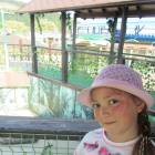 IMG_6169.JPG