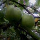DSCN0374.JPG
