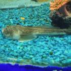 DSCN9939.JPG