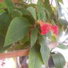 DSCN0569.JPG