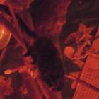 DSCN4826.JPG