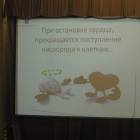 DSCN4277.JPG