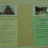 DSC09632.JPG