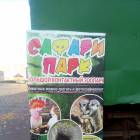 Попугаи в Сафари парке.84222